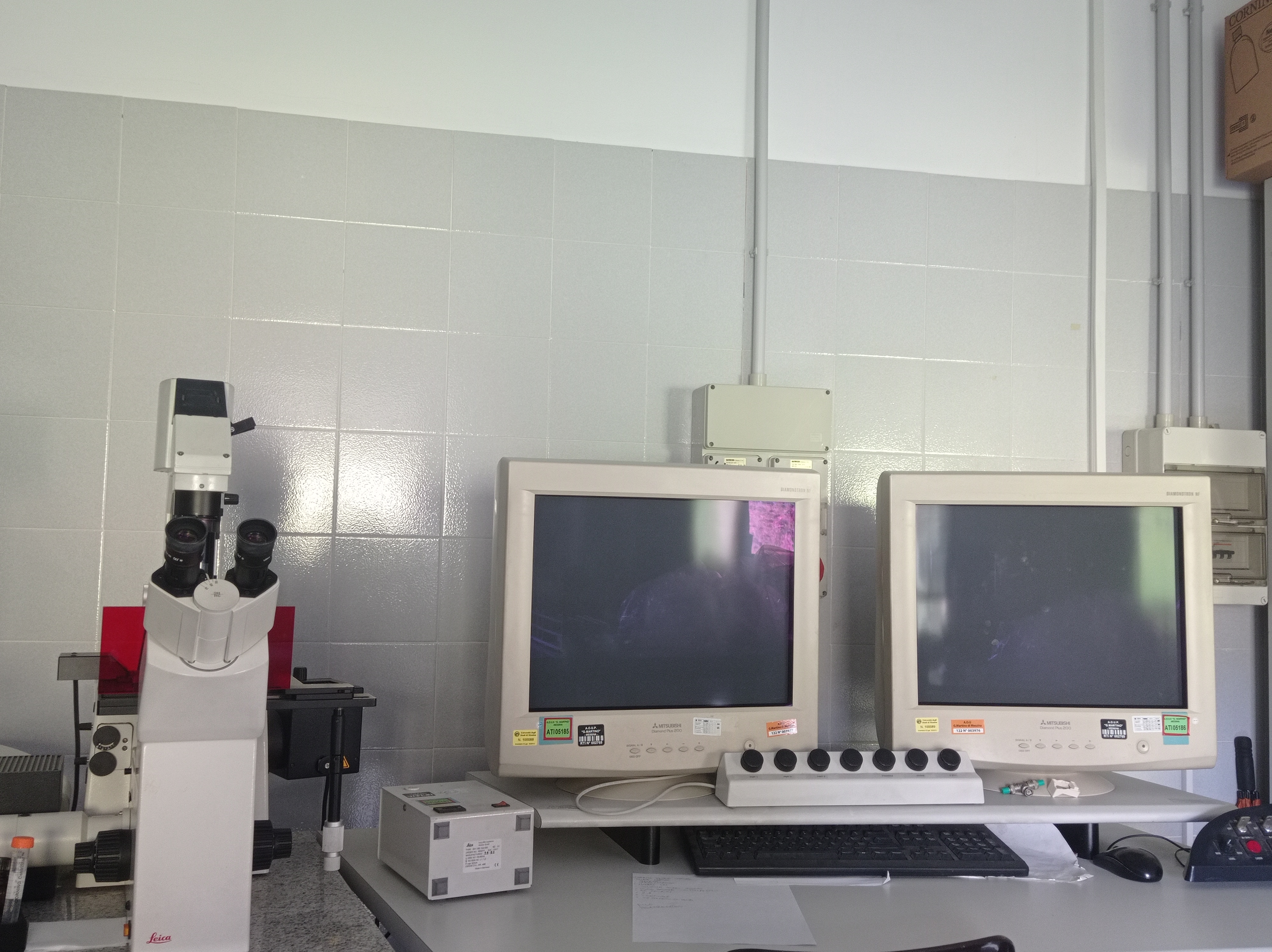 Foto del laboratorio