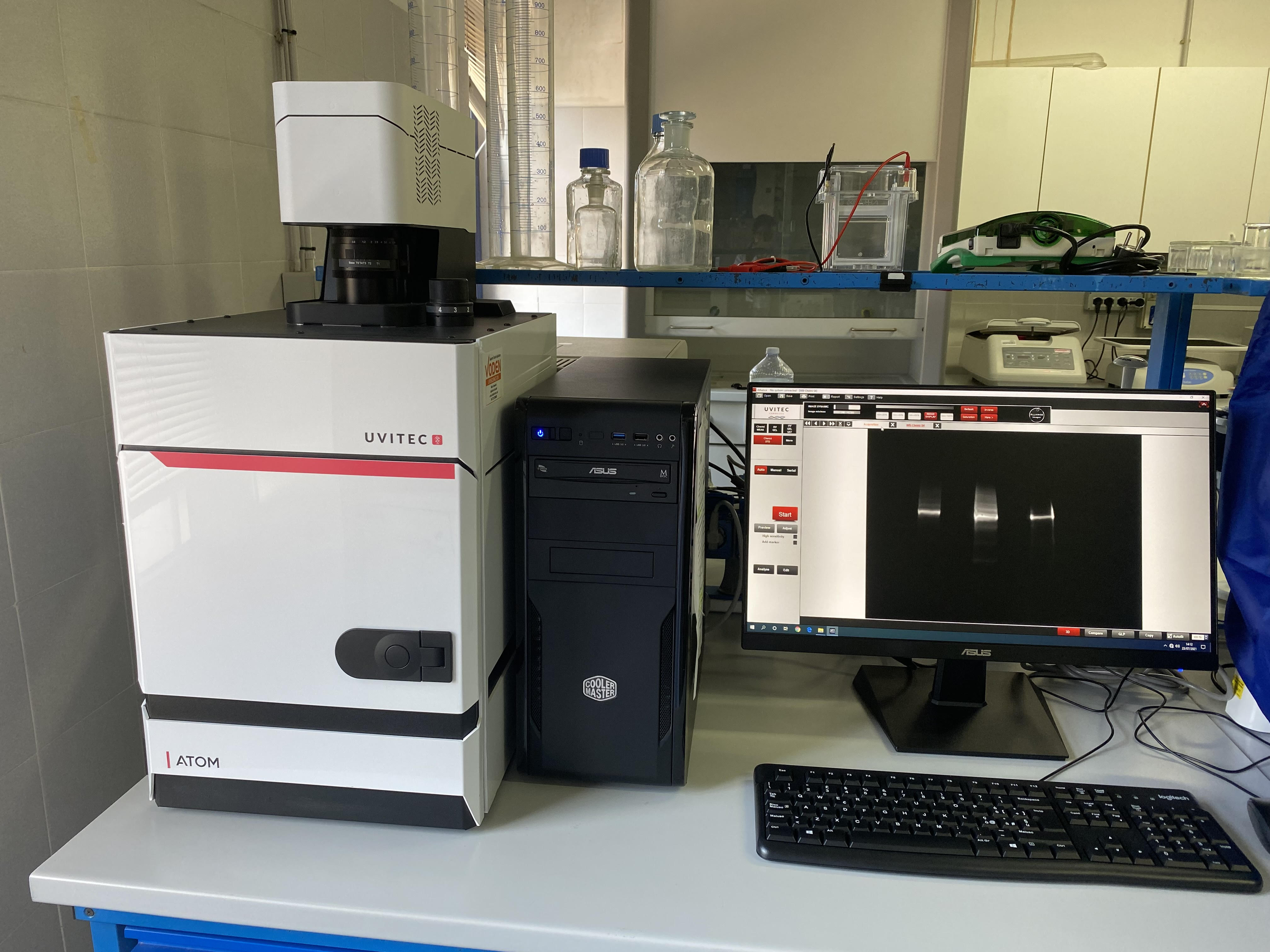 Vista del Laboratorio