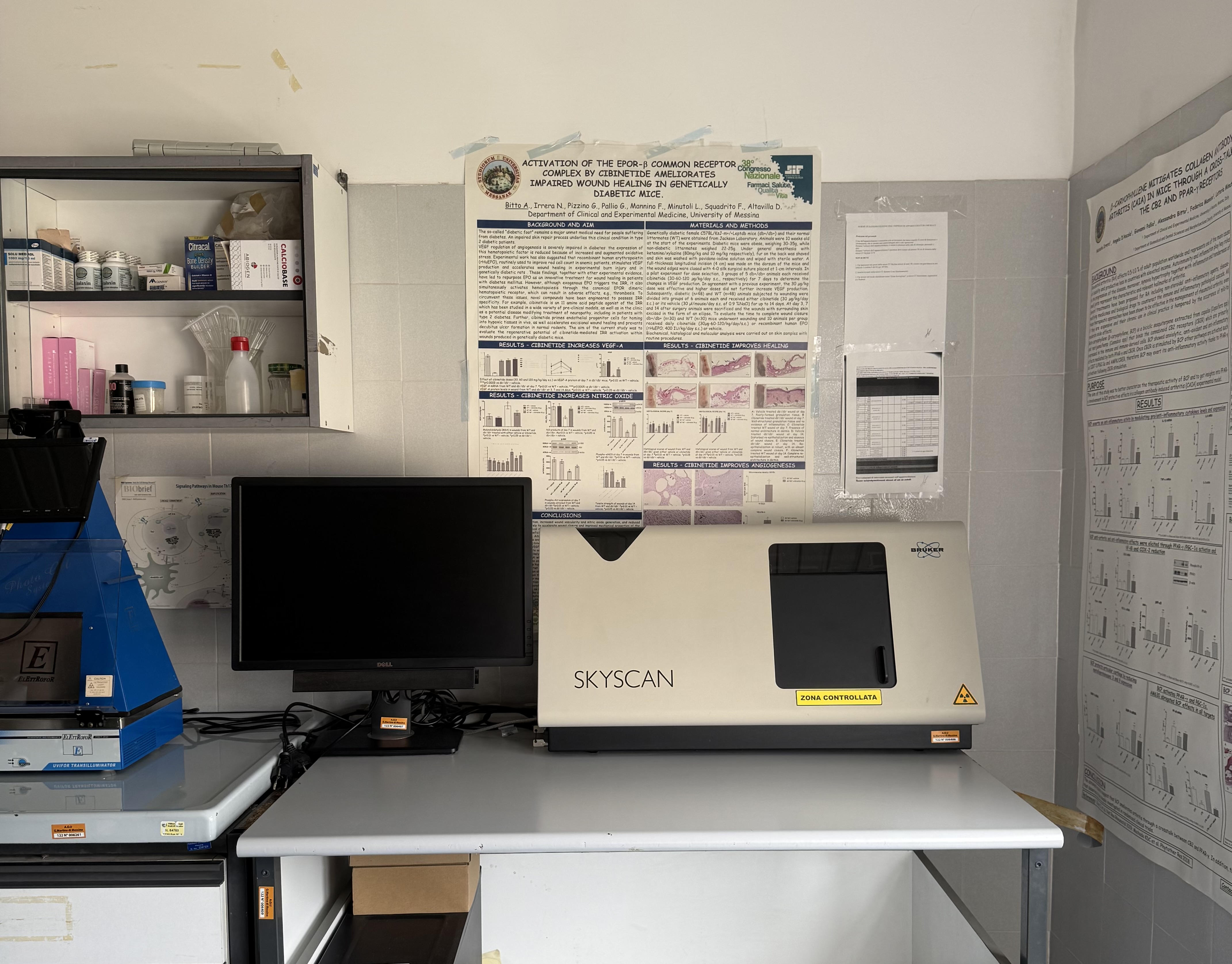 Laboratorio di Farmacologia Molecolare