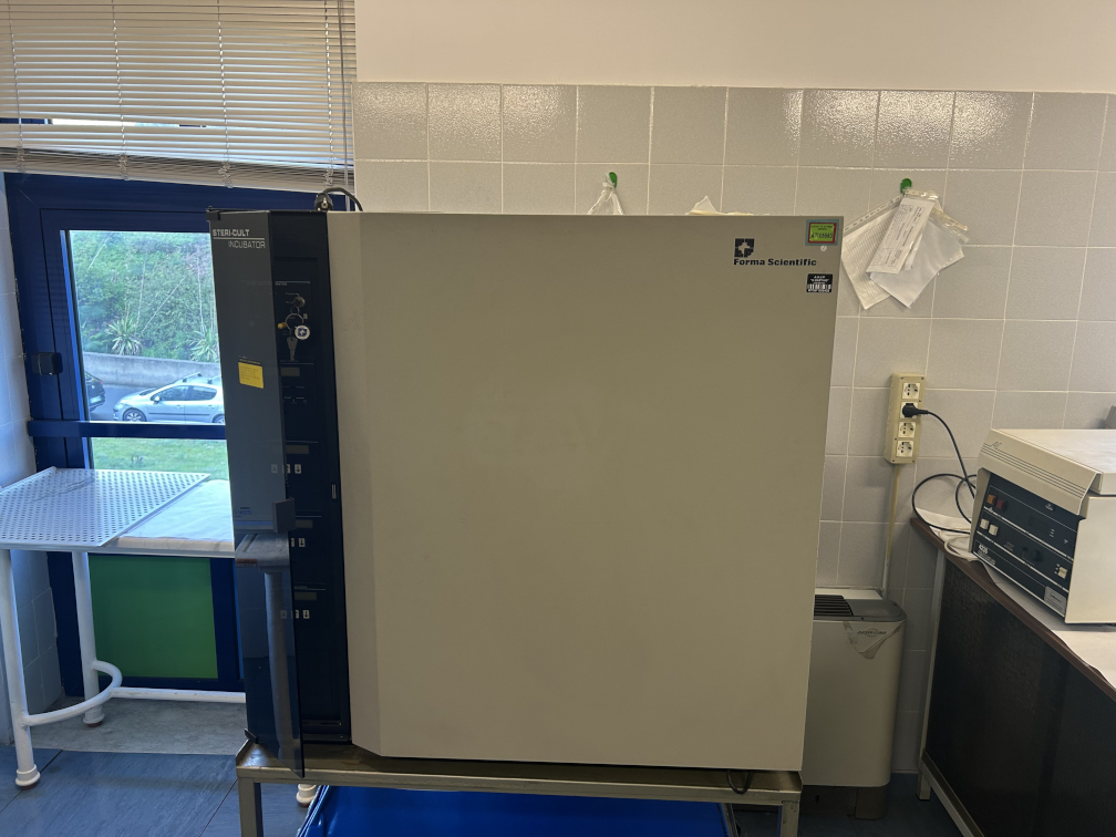 Laboratorio di Colture Cellulari