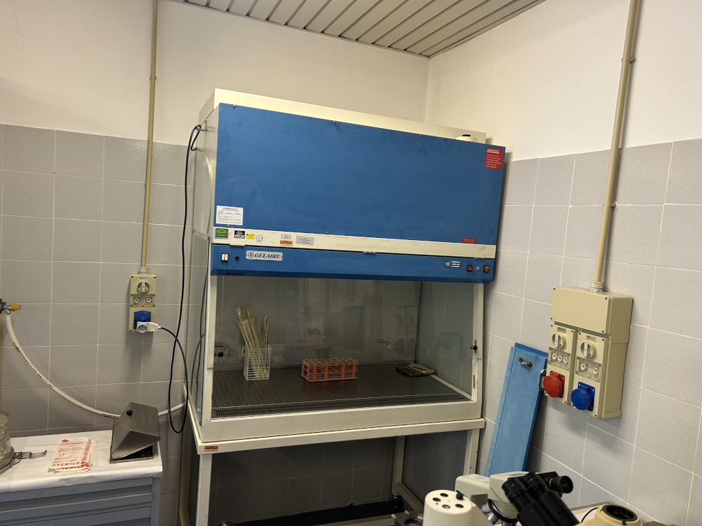 Laboratorio di Colture Cellulari