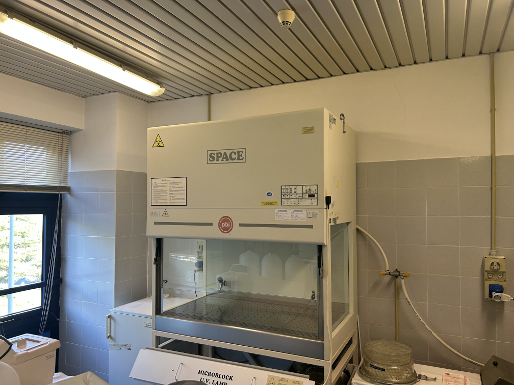 Laboratorio di Colture Cellulari