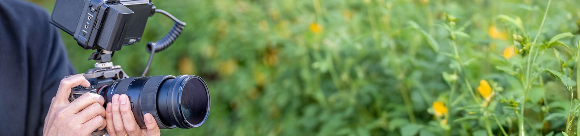 riprese video e foto al Biomorf