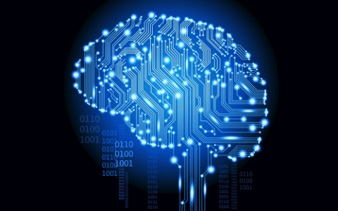 scienze fisiche matematiche informatiche