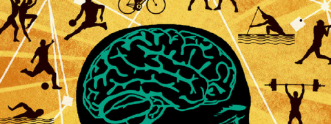 neuroscienze e scienze motorie