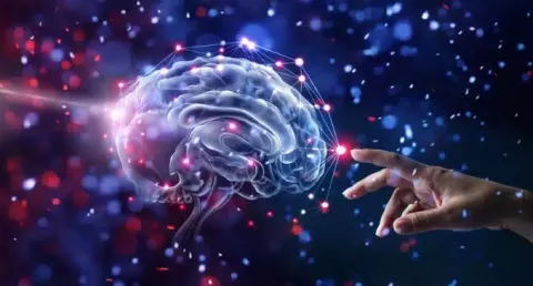 neuroplasticità