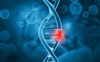 genetica
