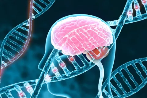 genetica1