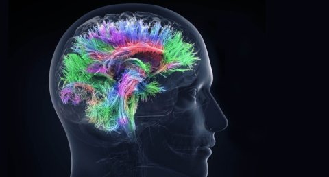 neuroradiologia
