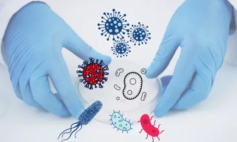 Biotecnologie e Chimica delle Fermentazioni