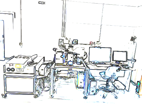 LabMicroscopiaConfocale