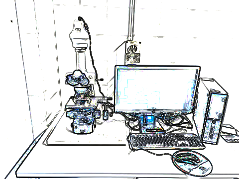 LabMicroscopiaOttica