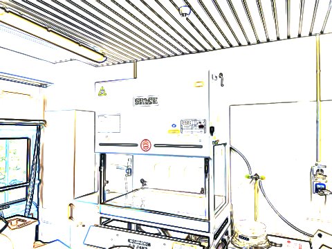 Laboratorio di Colture Cellulari
