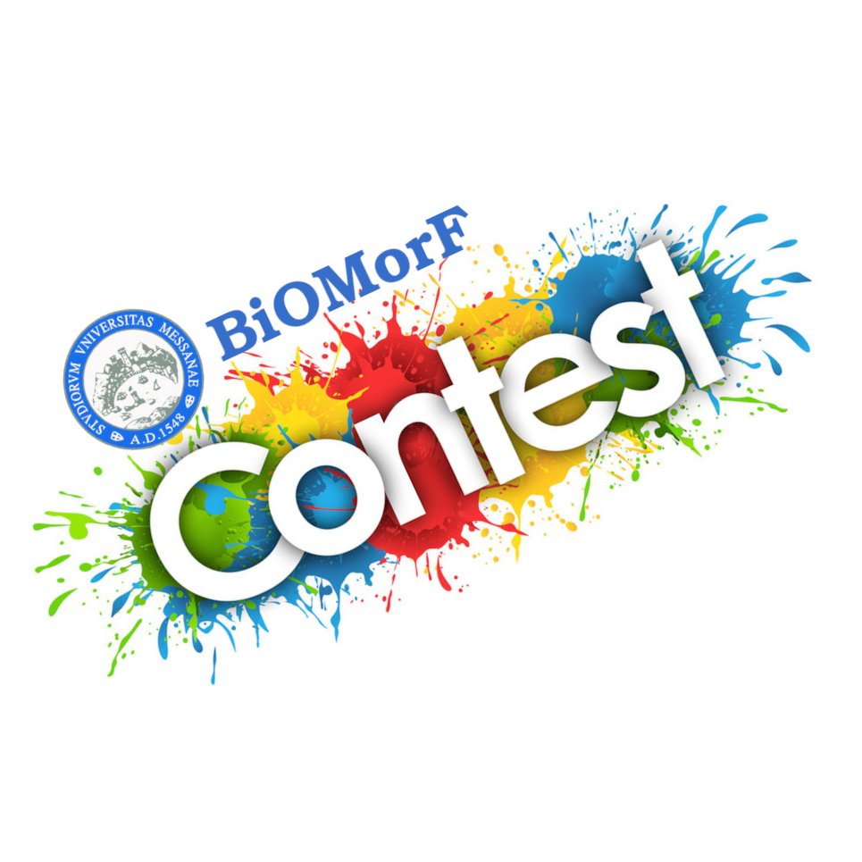 logo del Biomorf Contest!