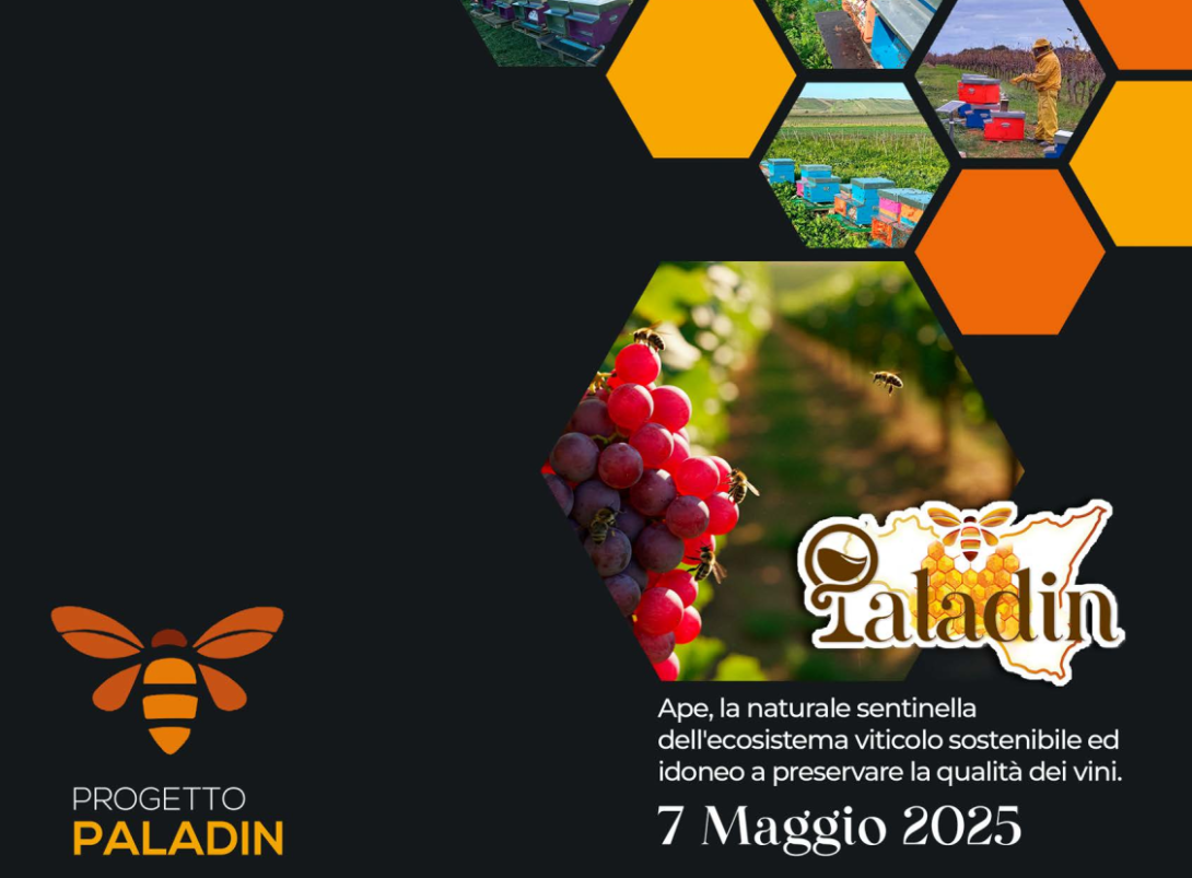 locandina del convegno PALADIN 2025