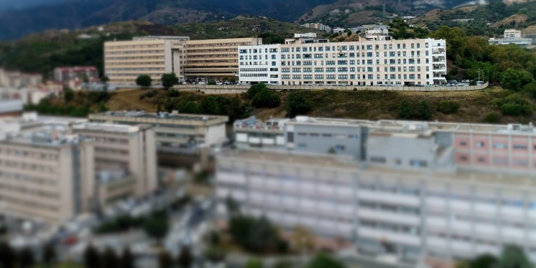 Vista del padiglione Biomorf